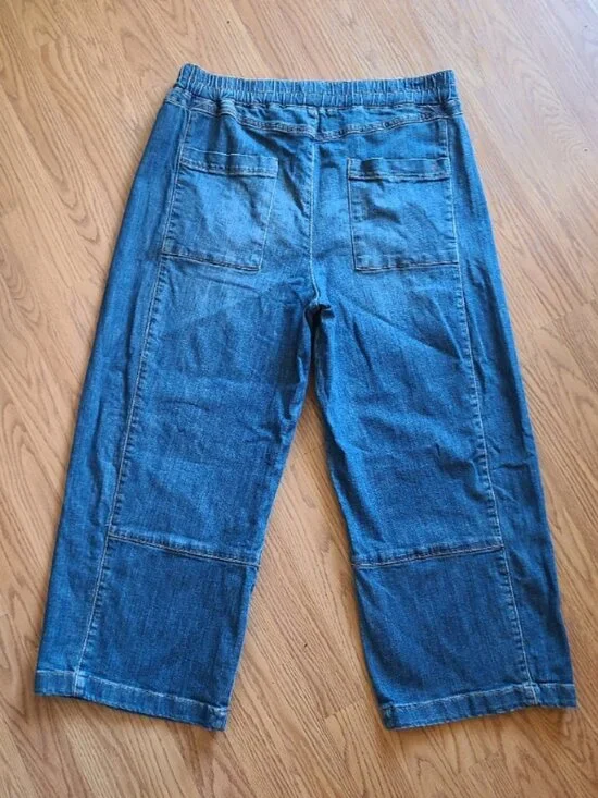 PILCRO ANTHRO IZZIE RELAXED PULL ON BARREL JEANS ELASTIC WAIST CROP DENIM sz L - Picture 5 of 8